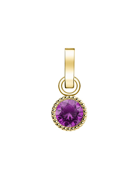 Rosefield Rosefield obesek zlate barve Birthstone Februar barva