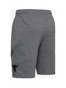 Under Armour Project Rock Kratke hlače